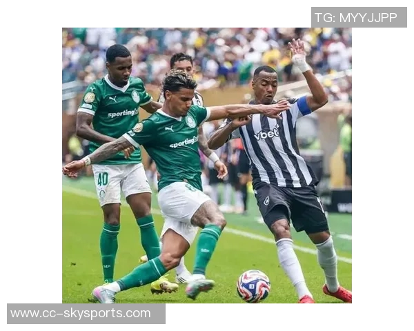 阿媒报道帕尔梅拉斯欲以2000万欧元收购阿尔马达50股份